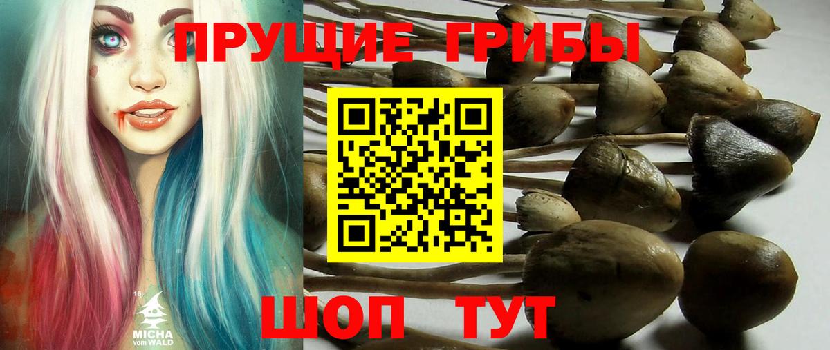 Королёв  Галлюциногенные грибы мицелий  Вход с VPN  хочу наркоту  Псилоцибиновые грибы прущие грибы 