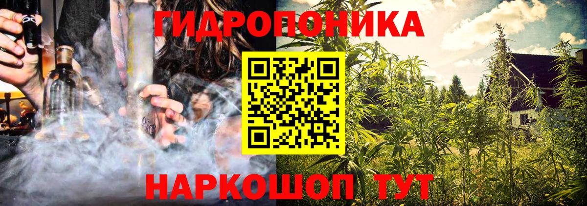 Шишки марихуана White Widow Королёв
